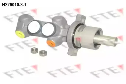 fte-h22901031