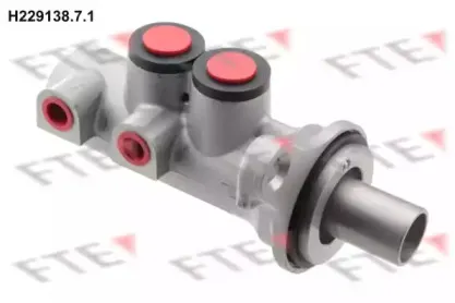 fte-h22913871