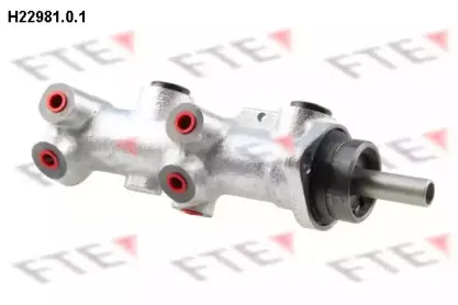 H22981.0.1 FTE