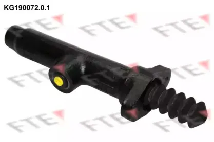 KG190072.0.1 FTE