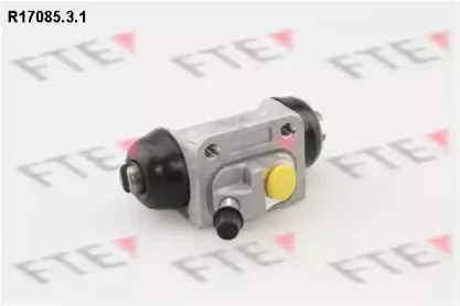 R17085.3.1 FTE