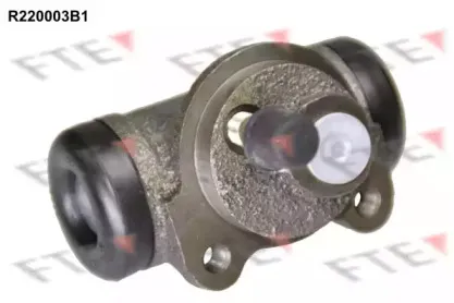 fte-r220003b1