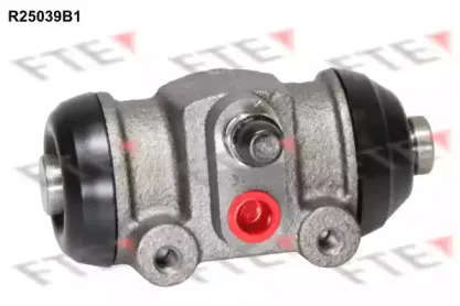R25039B1 FTE