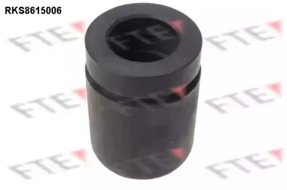RKS8615006 FTE Поршень, корпус скобы тормоза