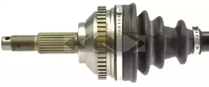 lobro-302820