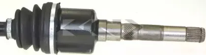 lobro-302820