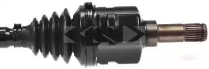 lobro-302821