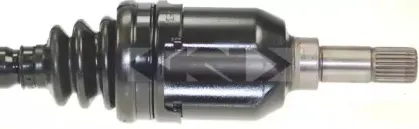 lobro-302823