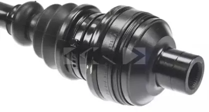 lobro-302833