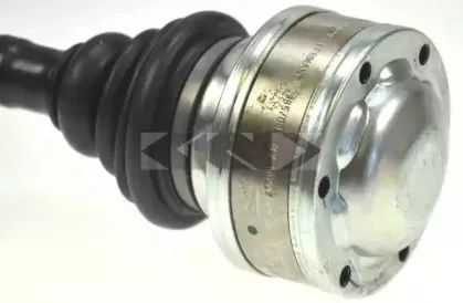 lobro-302976