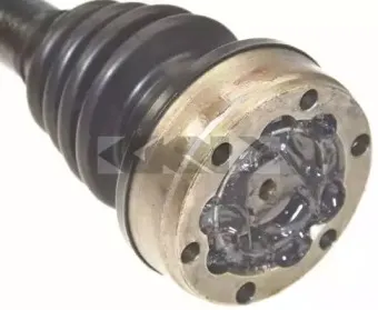 lobro-301490