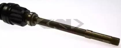 lobro-302439