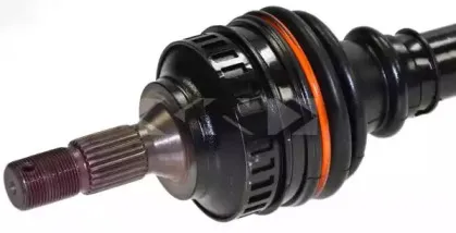 lobro-302440