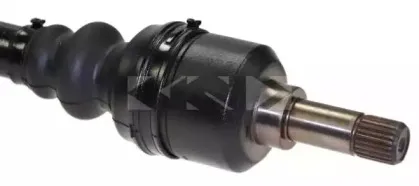 lobro-302440