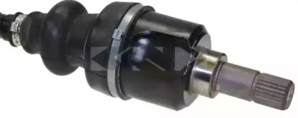 lobro-302876