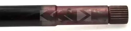 lobro-302881