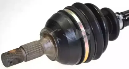 lobro-302882