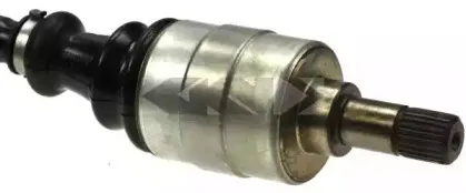 lobro-302882