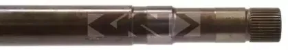 lobro-303045