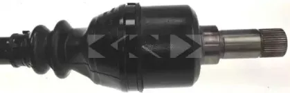 lobro-303046