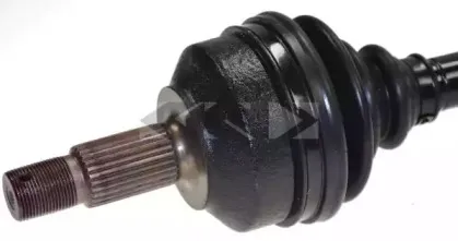 lobro-303054