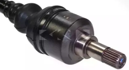 lobro-303054