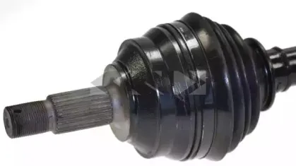 lobro-303058