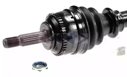 lobro-303064