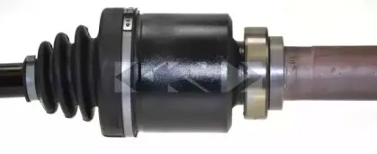 lobro-303071