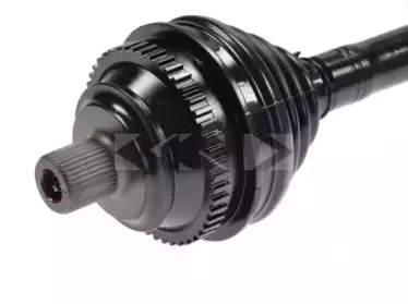 lobro-303165