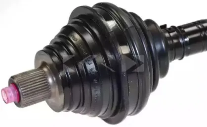 lobro-303166