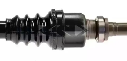 lobro-303200