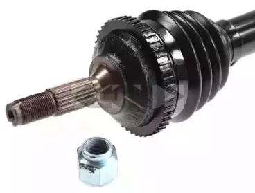 lobro-303203