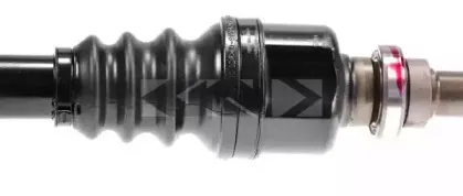 lobro-303203