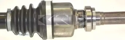 lobro-303207