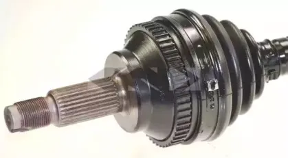 lobro-303219