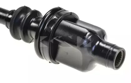 lobro-303229
