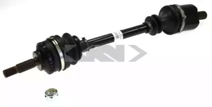 lobro-303235