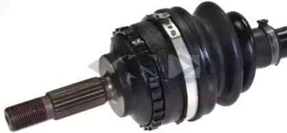 lobro-303235