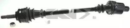lobro-303236