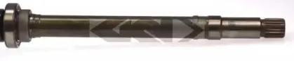 lobro-303242