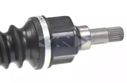lobro-303245