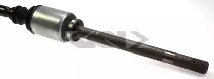 lobro-303515