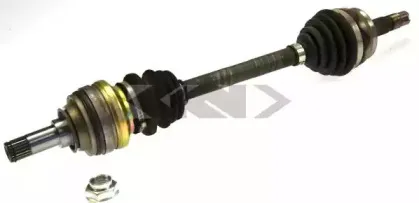 lobro-302381
