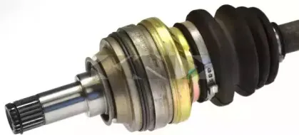 lobro-302381