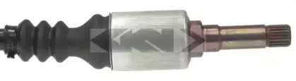 lobro-303344