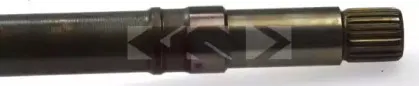 lobro-303350