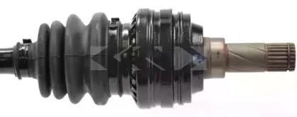 lobro-301500