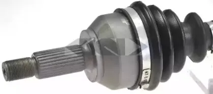 lobro-302404