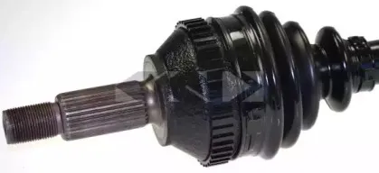 lobro-302399